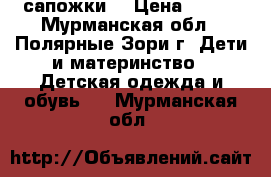 сапожки  › Цена ­ 200 - Мурманская обл., Полярные Зори г. Дети и материнство » Детская одежда и обувь   . Мурманская обл.